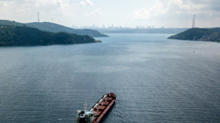 Ukraine: le premier chargement de c&eacute;r&eacute;ales reprend sa route vers le Liban