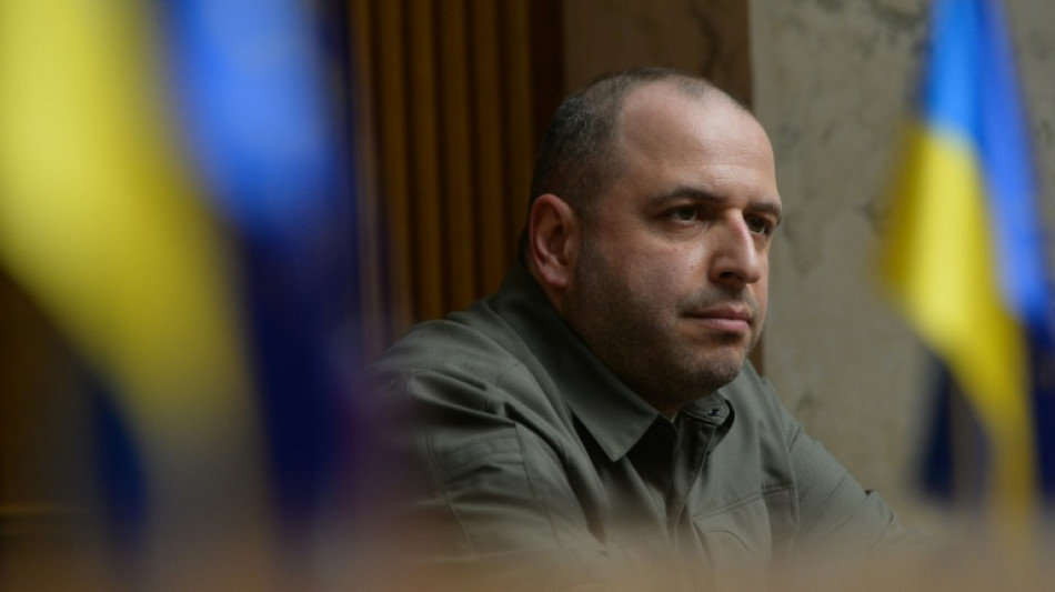 El nuevo ministro ucraniano de Defensa promete liberar "cada cent&iacute;metro" del pa&iacute;s