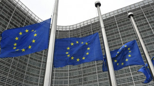 Las elecciones europeas se realizar&aacute;n del 6 al 9 de junio de 2024