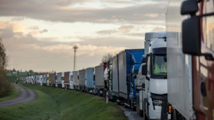 Polish truckers block Ukraine border points in protest