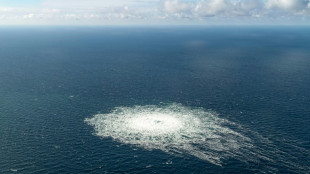 Un Ukrainien arrêté en Italie pour le sabotage du gazoduc russe Nord Stream
