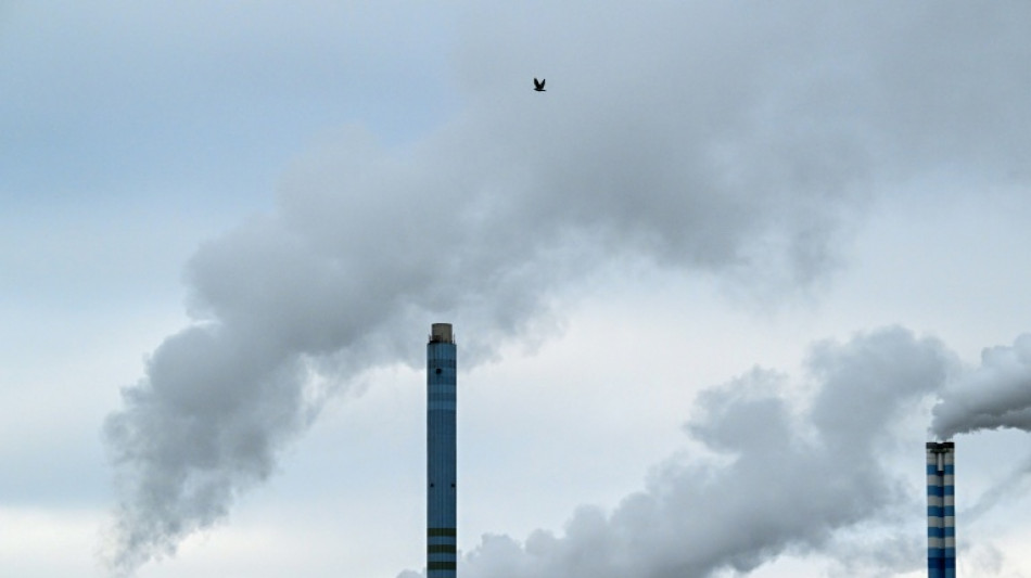 Trump tariff threat 'poison' for Germany's fragile recovery 