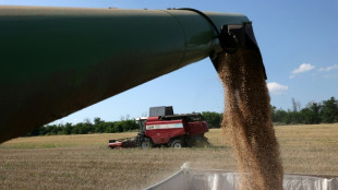 Ucrania exporta cereales v&iacute;a Croacia