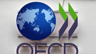 Lieve accelerazione crescita Ocse secondo trimestre +0,5%, Italia +0,3%