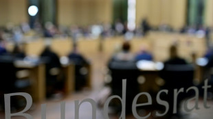 Bundesrat gibt grünes Licht für Haushalt 2025 und Sondervermögen