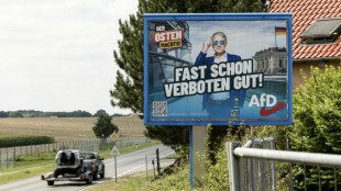 Rechtsstreit um Waffenbesitz: Erfolg f&uuml;r AfD-Mitglieder in Th&uuml;ringen