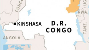 At least 8 dead in village attack in eastern DR Congo