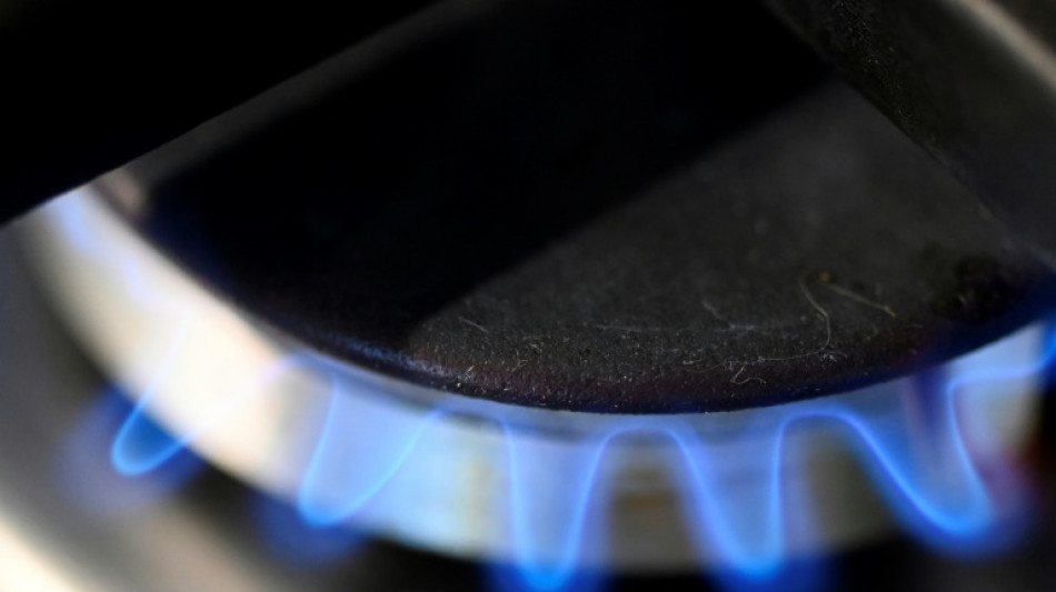 EU-Energieminister beraten &uuml;ber Gas-Notfallplan