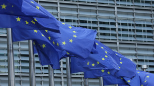 Ue, 'impegnati nella sicurezza transatlantica, Nato &egrave; fondamentale'