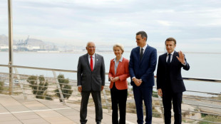 V&iacute;a de hidr&oacute;geno entre pen&iacute;nsula ib&eacute;rica y Francia costar&aacute; 2.500 M de euros y operar&aacute; en 2030