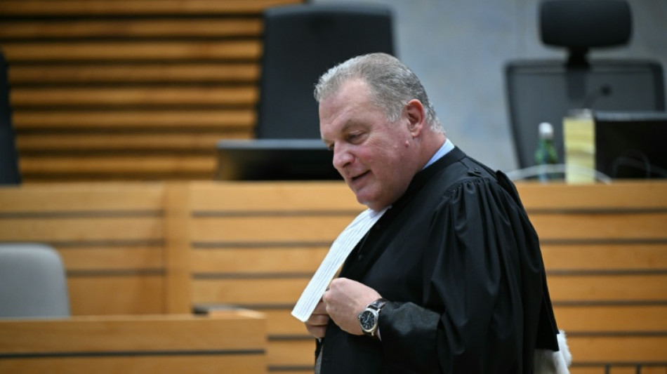 Plaidoiries des avocats des proches de Delphine Jubillar après d'ultimes dénégations de son mari