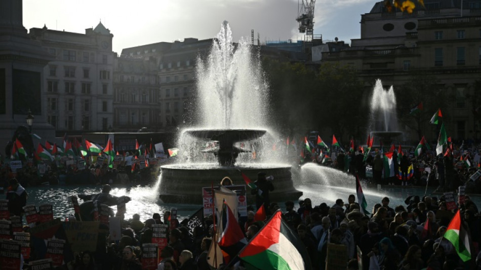 UK police urged to ban pro-Palestinian rally 