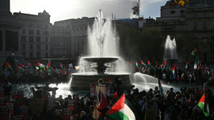 UK police urged to ban pro-Palestinian rally 