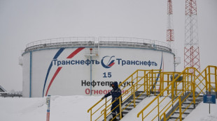 Arabia Saudita y Rusia prolongan los recortes de su producci&oacute;n de crudo para impulsar los precios