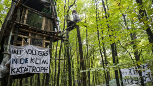 Ermittlungen gegen 15 Umweltaktivisten nach R&auml;umung von Fechenheimer Wald