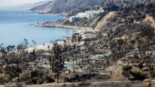 Suspect in US court months after deadly Los Angeles fire