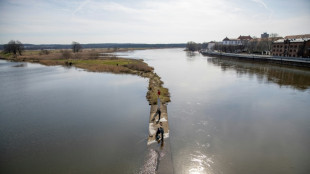Hochwasser in Brandenburg: H&ouml;chste Alarmstufe f&uuml;r weiteren Abschnitt ausgerufen
