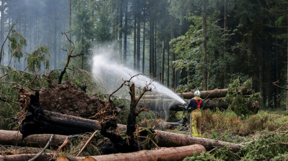 B&eacute;lgica controla el mayor incendio forestal de su historia