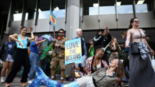 Protesta en Londres antes de una reuni&oacute;n clave sobre la contaminaci&oacute;n en el mar