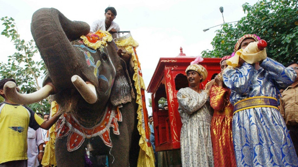 A Bollywood, une campagne pour interdire les &eacute;l&eacute;phants des plateaux de cin&eacute;ma