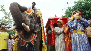 A Bollywood, une campagne pour interdire les &eacute;l&eacute;phants des plateaux de cin&eacute;ma
