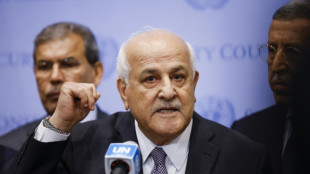 UN Security Council rejects Russian resolution on Israel-Hamas war