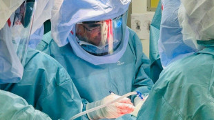 Nuova anca con protesi su misura 3D e trapianto osso, prima volta in Sardegna