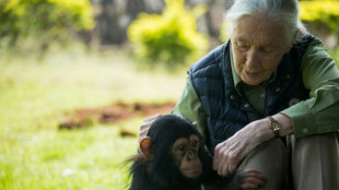 Último desejo de Jane Goodall: enviar Trump, Musk, Putin, Xi e Netanyahu ao espaço