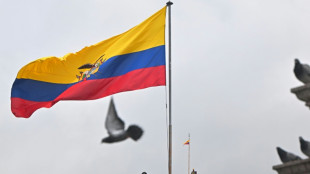 Ecuador intel chief, five Americans killed in Kenya helicopter crash