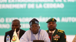 W.African summit backs diplomacy in Niger coup crisis