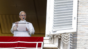 Il Papa, 'Gaza martoriata, non c'è futuro basato su vendetta'