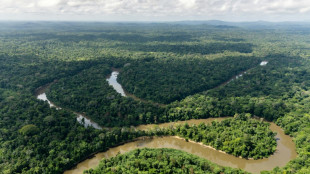 Rainforest villages in French Guiana cut off by loss of airline