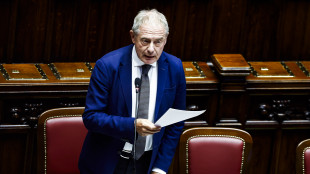 Urso, 'ad ottobre un decreto imprese, anche misure su AI nelle aziende'