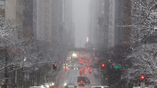 Blizzard blows New Yorkers' plans off course