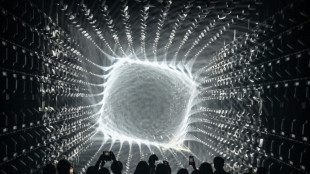 Un nouveau mus&eacute;e d'art num&eacute;rique immersif ouvre &agrave; Tokyo