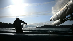 Bundeslandwirtschaftsministerium bekr&auml;ftigt: Ausnahmen vom Mindestlohn nicht m&ouml;glich
