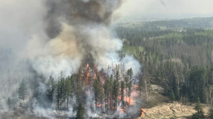 Feux de forêts: des rejets dans l'atmosphère particulièrement élevés depuis le début de l'été