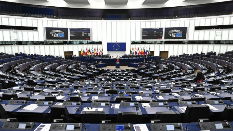 La UE considera "decepcionante" la deportaci&oacute;n de una eurodiputada desde Israel