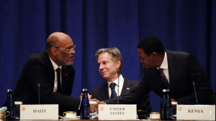US sees some dozen countries committing to Haiti force