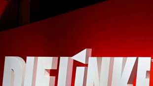 Linke: Bundesregierung sollte Assange Asyl in Deutschland anbieten