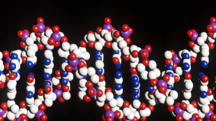 Dna pi&ugrave; rilevante del previsto nello sviluppo della personalit&agrave;
