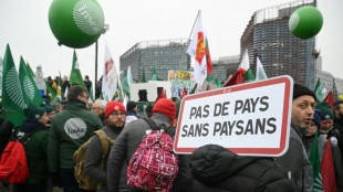 Mercosur: des milliers d'agriculteurs europ&eacute;ens en col&egrave;re &agrave; Strasbourg