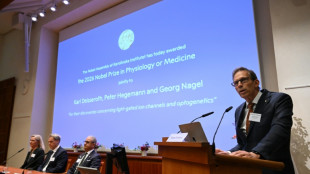 Medizin-Nobelpreis geht an Forscher aus Deutschland und den USA
