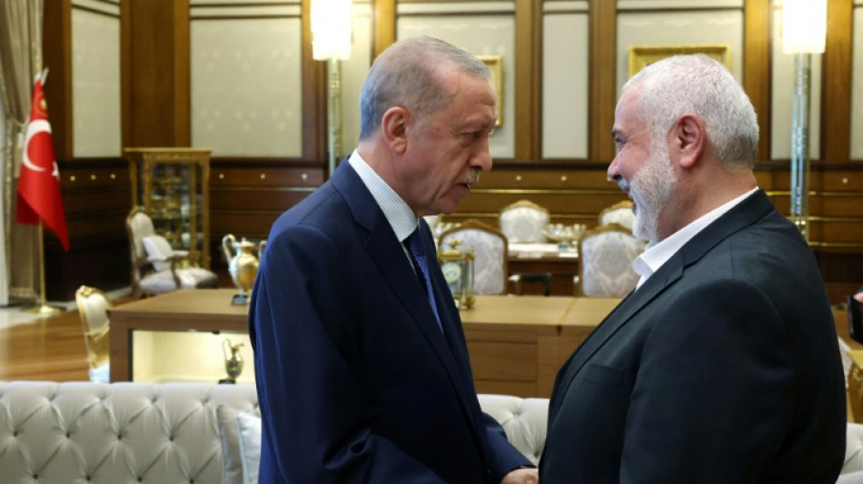 T&uuml;rkischer Pr&auml;sident Erdogan mit Hamas-Chef Hanija zusammengetroffen
