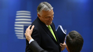 La UE intenta superar el bloqueo de Hungr&iacute;a y Polonia al acuerdo de reforma del asilo