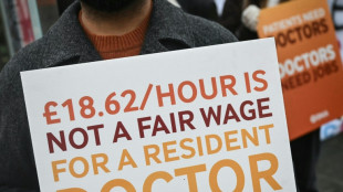 Inglaterra registra su decimocuarta huelga de m&eacute;dicos en menos de dos a&ntilde;os