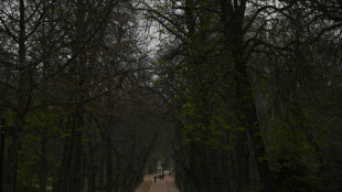 Des poussières venues du Sahara sur une partie de l'Espagne et la France