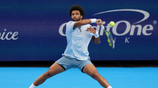 Masters 1000 de Cincinnati: le Fran&ccedil;ais Arthur Fils fuse en finale