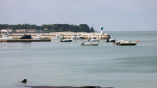Une baleine &eacute;chou&eacute;e sur une plage de l'Ile de r&eacute;