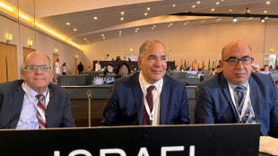 Una delegaci&oacute;n israel&iacute; realiza la primera visita p&uacute;blica a Arabia Saudita